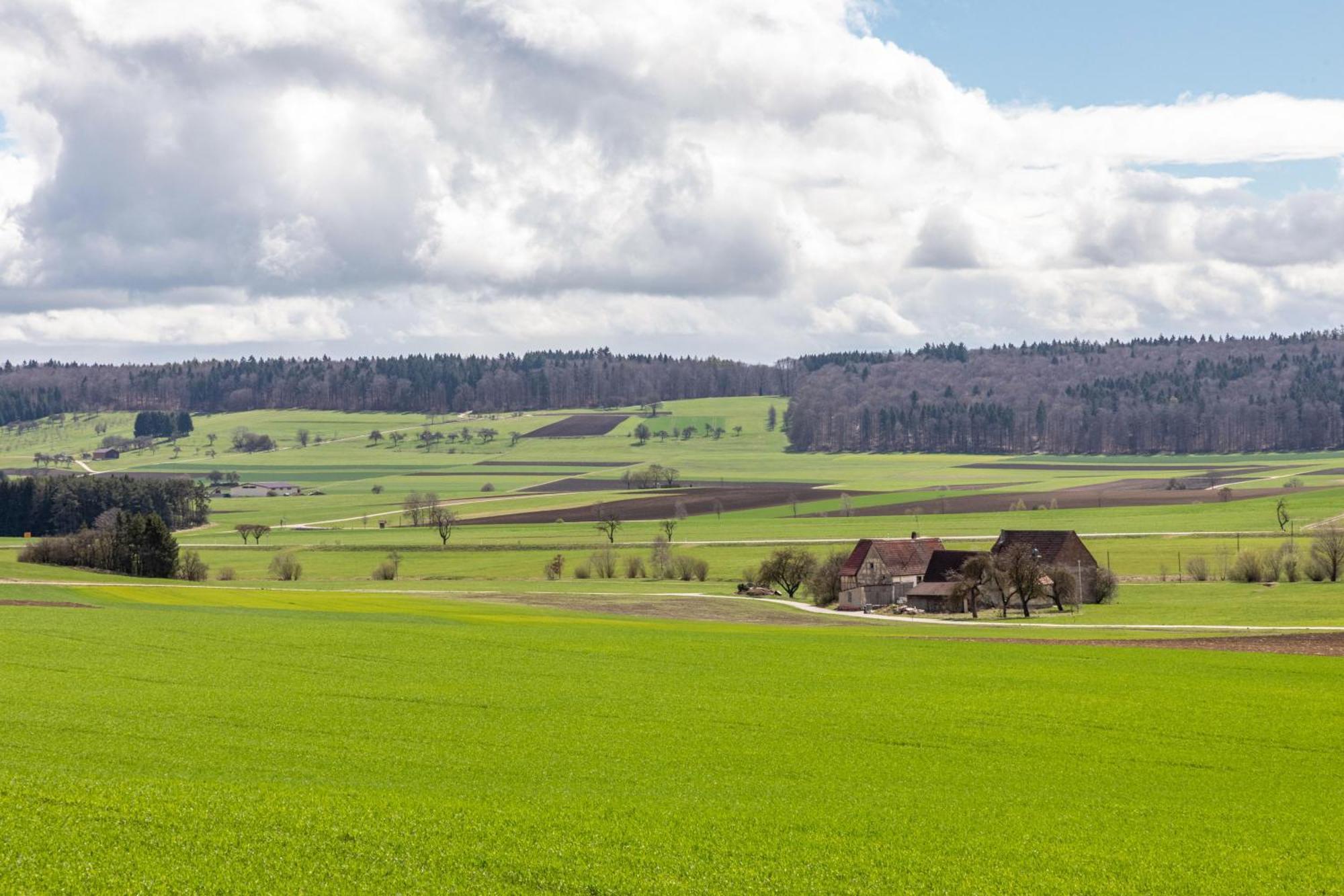 Ferienhaus Em Biehl Frankenhofen Eksteriør billede